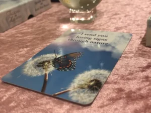 山形インフォメーション|雨の夜に告知する神の化身 フォーチュンヒーリング オラクルカード占い