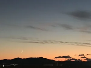 山形インフォメーション|今日は記念の独り立ち