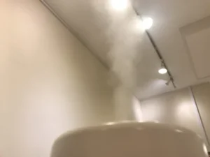 山形インフォメーション|もくもく加湿器は「テラヘルツミスト」 フォーチュンヒーリング もみほぐし