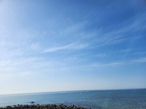 山形インフォメーション|暖かな春を感じながら 遠くまで足を運びたい